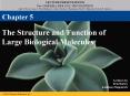 The Structure and Function of Large Biological Molecules PowerPoint PPT Presentation