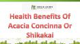 Health Benefits Of Acacia Concinna Or Shikakai