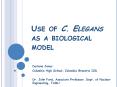 Use of C. Elegans as a biological model PowerPoint PPT Presentation