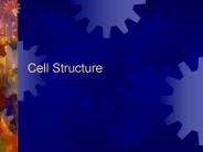 Cell Structure