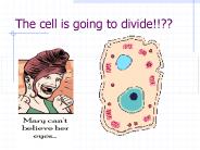 The cell is going to divide!!??