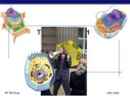 Tour of the Cell 1