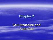 Cell Structure and Function