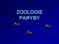 ZOOLOGIE PARYBY PowerPoint PPT Presentation