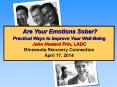 Are Your Emotions Sober? PowerPoint PPT Presentation