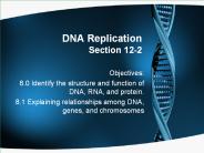 DNA Replication Section 12-2