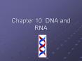 Chapter 10: DNA and RNA PowerPoint PPT Presentation