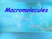 Macromolecules