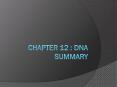 Chapter 12 : DNA Summary PowerPoint PPT Presentation