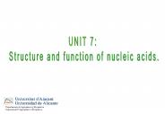 Fig. 1.12