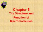 Chapter 5      The Structure and Function of Macromolecules