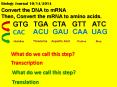 Convert the DNA to mRNA Then, Convert the mRNA to amino acids. PowerPoint PPT Presentation