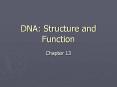 DNA: Structure and Function PowerPoint PPT Presentation
