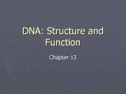 DNA: Structure and Function