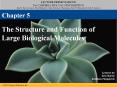 The Structure and Function of Large Biological Molecules PowerPoint PPT Presentation