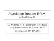 Association Euratom-IPPLM Andrzej Galkowski