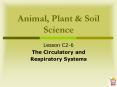 Animal, Plant PowerPoint PPT Presentation
