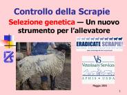 Scrapie Eradication