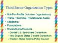 Third Sector Organization Types PowerPoint PPT Presentation