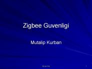 Zigbee Guvenligi