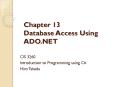 Chapter 13 Database Access Using ADO.NET PowerPoint PPT Presentation