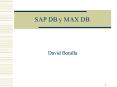 SAP DB y MAX DB PowerPoint PPT Presentation