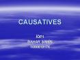 CAUSATIVES PowerPoint PPT Presentation