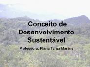 Conceito de Desenvolvimento Sustent