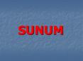 SUNUM PowerPoint PPT Presentation