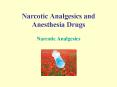 Narcotic Analgesics and Anesthesia Drugs PowerPoint PPT Presentation