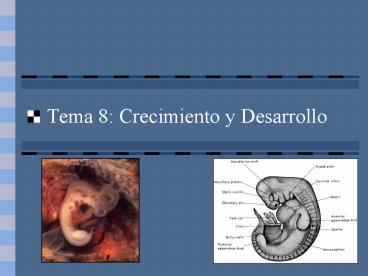Tema 8: Crecimiento y Desarrollo