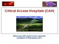 Critical Access Hospitals (CAH) PowerPoint PPT Presentation
