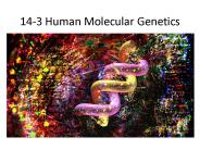 14-3 Human Molecular Genetics