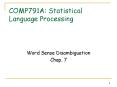 COMP791A: Statistical Language Processing PowerPoint PPT Presentation