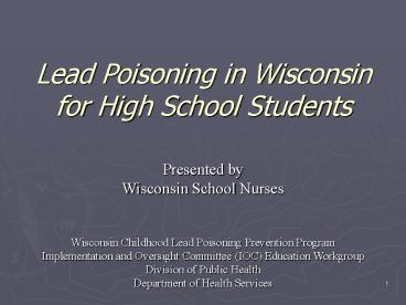 Lead Poisoning in Wisconsin for High School Students