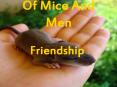 Of Mice And Men PowerPoint PPT Presentation