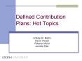 Defined Contribution Plans: Hot Topics PowerPoint PPT Presentation