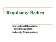 Regulatory Bodies PowerPoint PPT Presentation