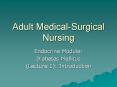 Adult Medical-Surgical Nursing PowerPoint PPT Presentation