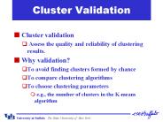 Cluster Validation