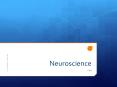 Neuroscience PowerPoint PPT Presentation