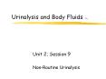 Urinalysis and Body Fluids CRg PowerPoint PPT Presentation