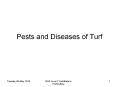 Pests and Diseases of Turf PowerPoint PPT Presentation