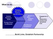 What we do
