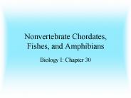 Nonvertebrate Chordates, Fishes, and Amphibians