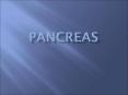 PANCREAS PowerPoint PPT Presentation