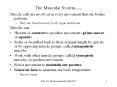 The Muscular System rev 12-12 PowerPoint PPT Presentation