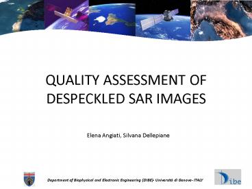 QUALITY ASSESSMENT OF DESPECKLED SAR IMAGES