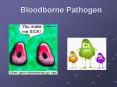 Bloodborne Pathogen PowerPoint PPT Presentation
