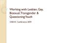 Working with Lesbian, Gay, Bisexual, Transgender PowerPoint PPT Presentation